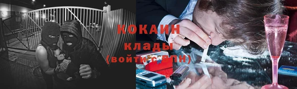 винт Абаза