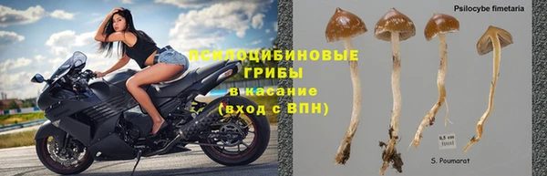винт Абаза