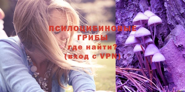 винт Абаза