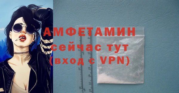 винт Абаза