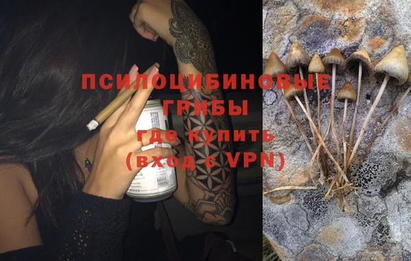 ПСИЛОЦИБИНОВЫЕ ГРИБЫ Абдулино