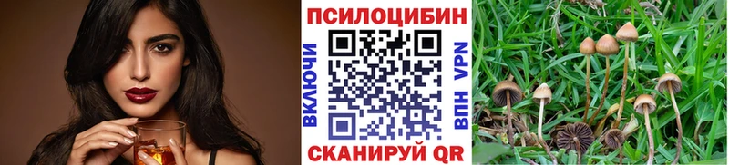 купить   Устюжна  Псилоцибиновые грибы ЛСД 
